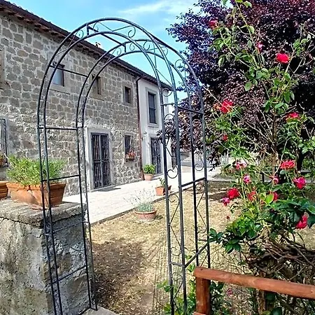 Paternocchio مونتيفياسكون