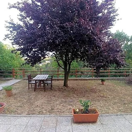 Paternocchio 3* مونتيفياسكون